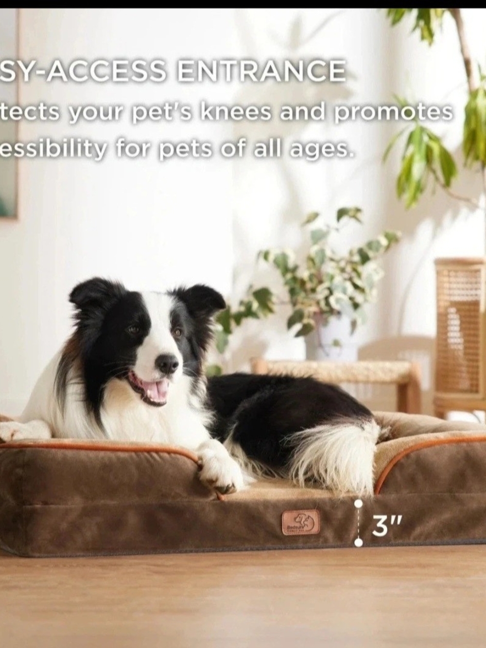 Bedspread Convoluted Foam Pet Sofa Brown ( Medium Dogs)